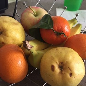 Meet your Posher, Fayza